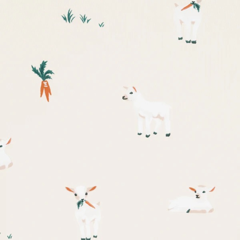 Looking for: Kyte "goat" print baby blanket🐐